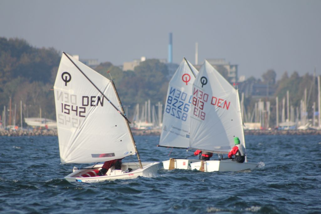 Vis 20101009 151352.jpg i fuld st�rrelse